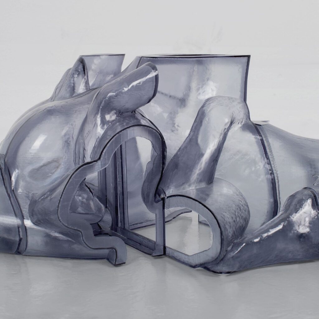 Carrier Rhythm Immortal