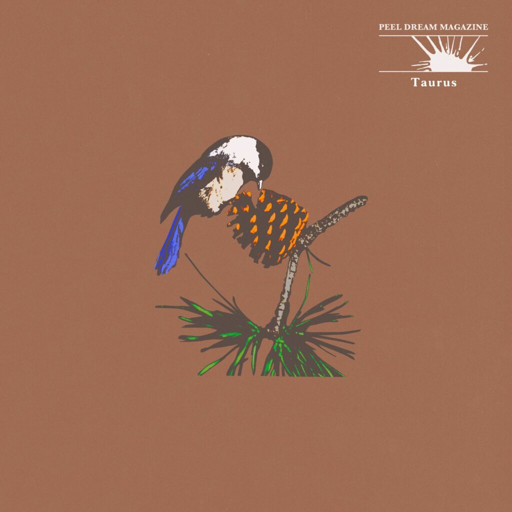 Peel Dream Magazine Taurus