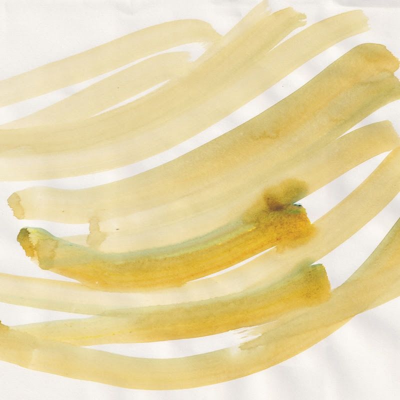 Image may contain Banana Food Fruit Plant and Produce
